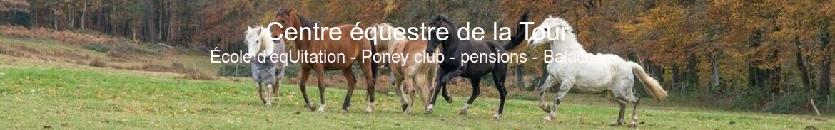 Centre équestre de la Tour